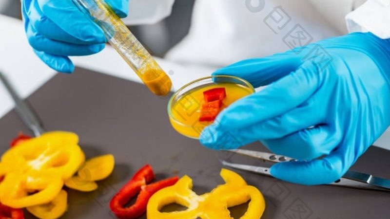 酥性饼干与韧性饼干：揭秘其背后的参数差异